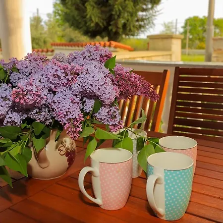 Casa vacanze Holiday Klara Ližnjan